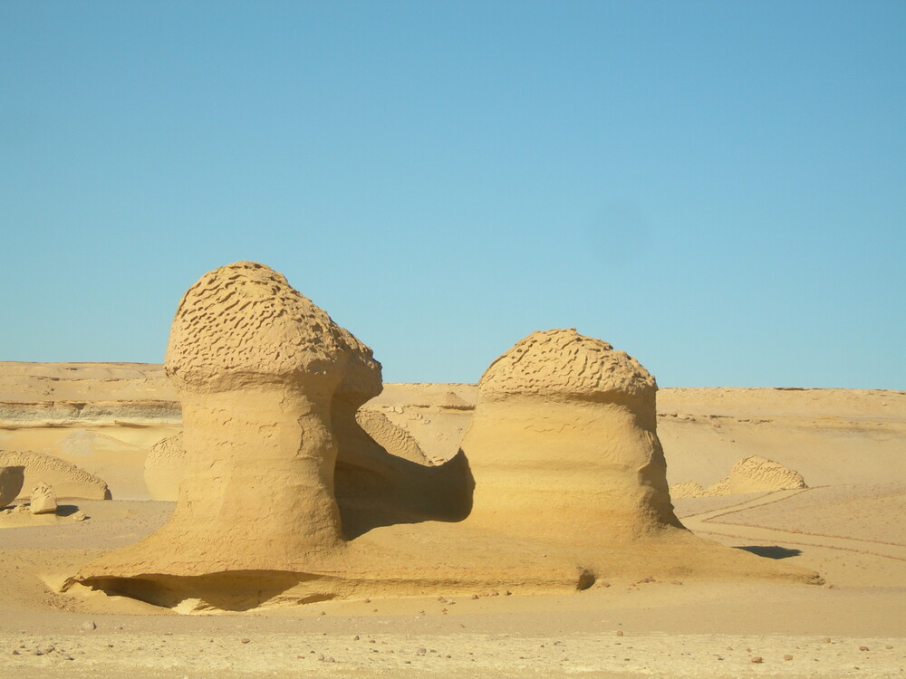 site_1186_0002-1000-750-20151104170811 - Wadi El Hitan – Whale Valley